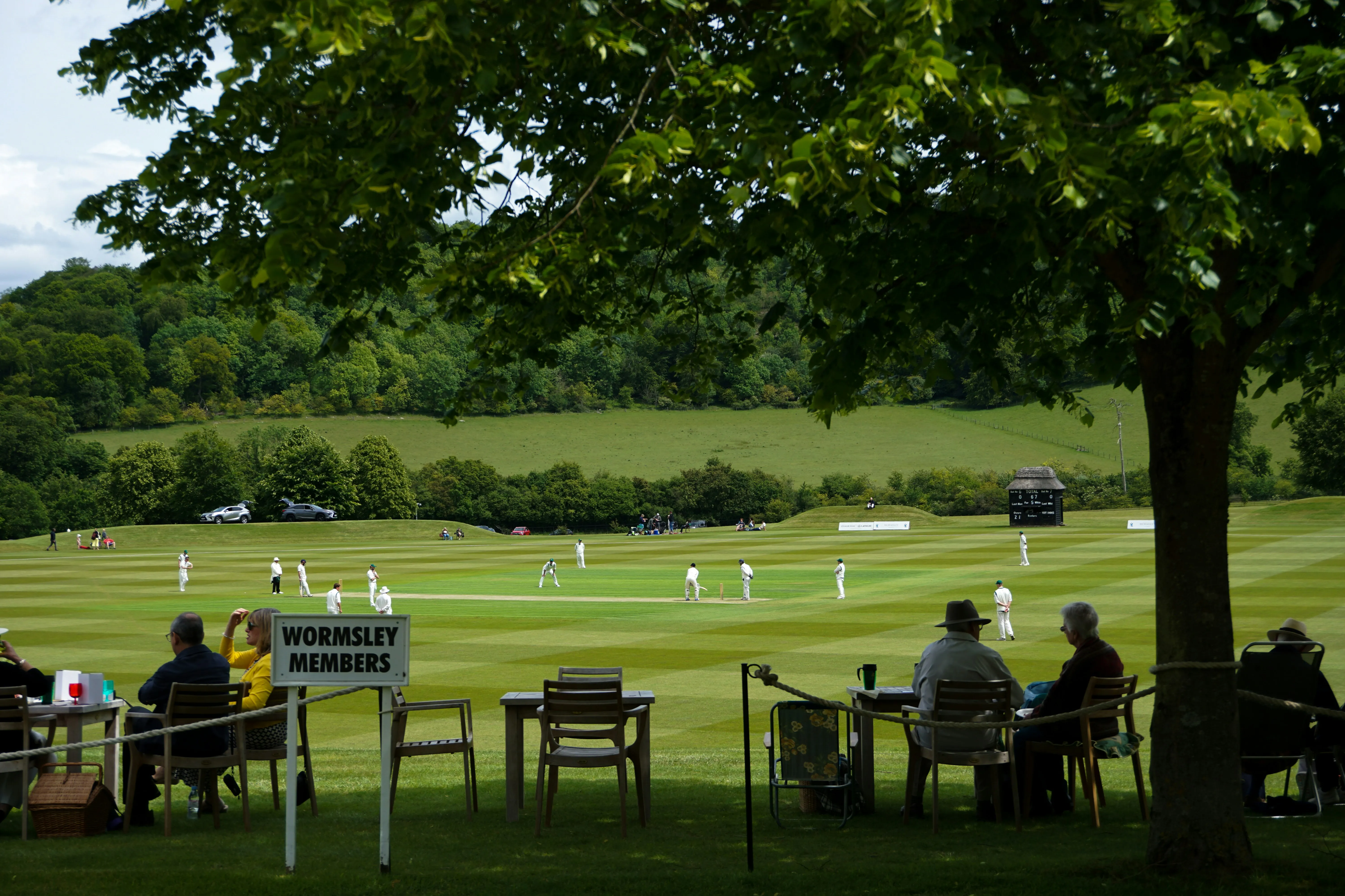 Cricket player